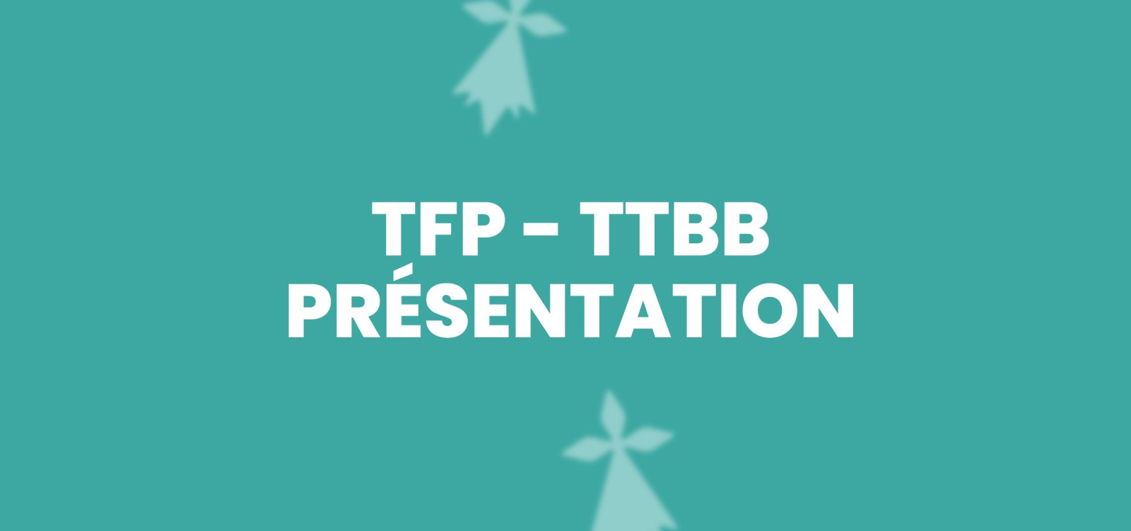 PRÉSENTATION - TTBB