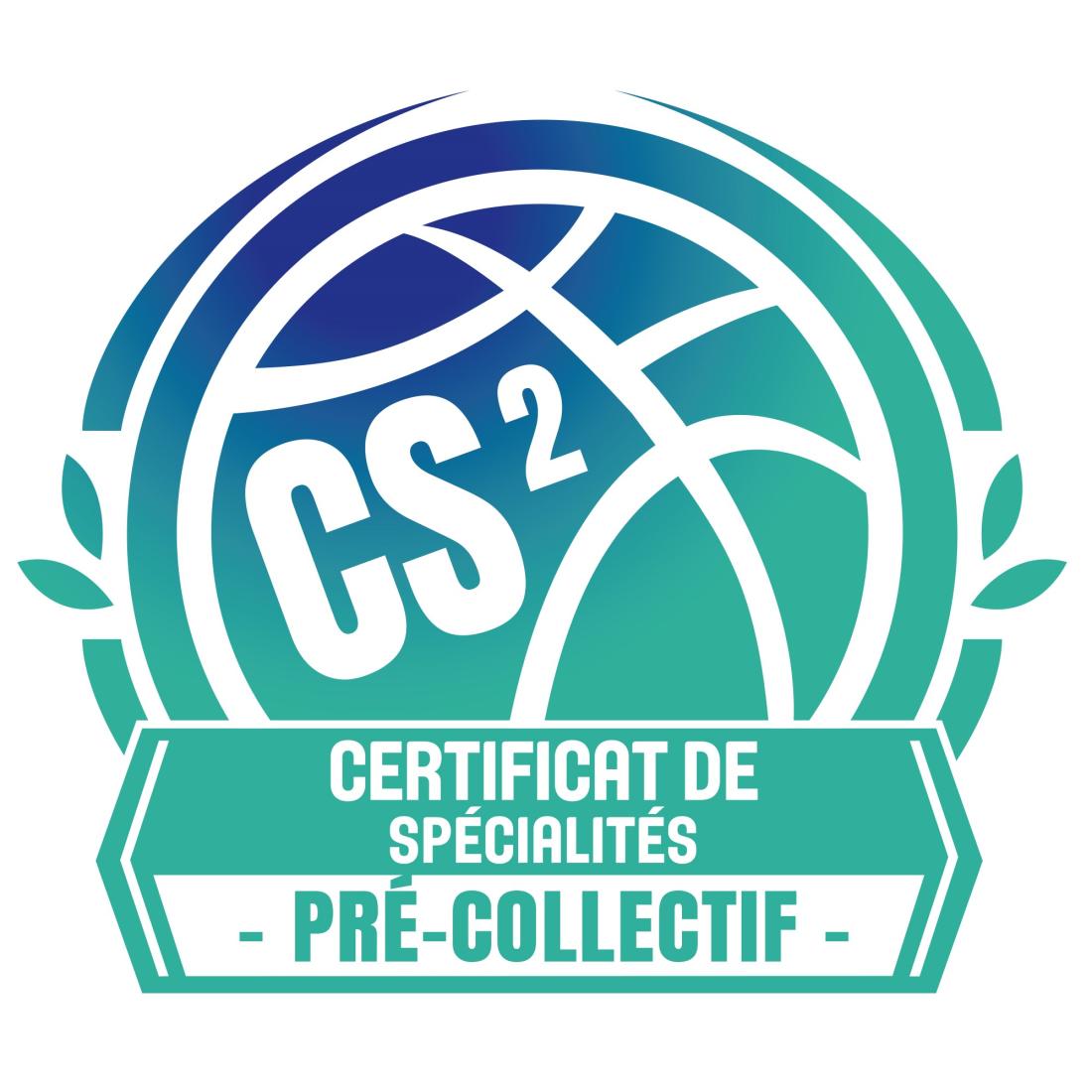 DETB - CS2 (29) - ''Collaborer en Basketball"