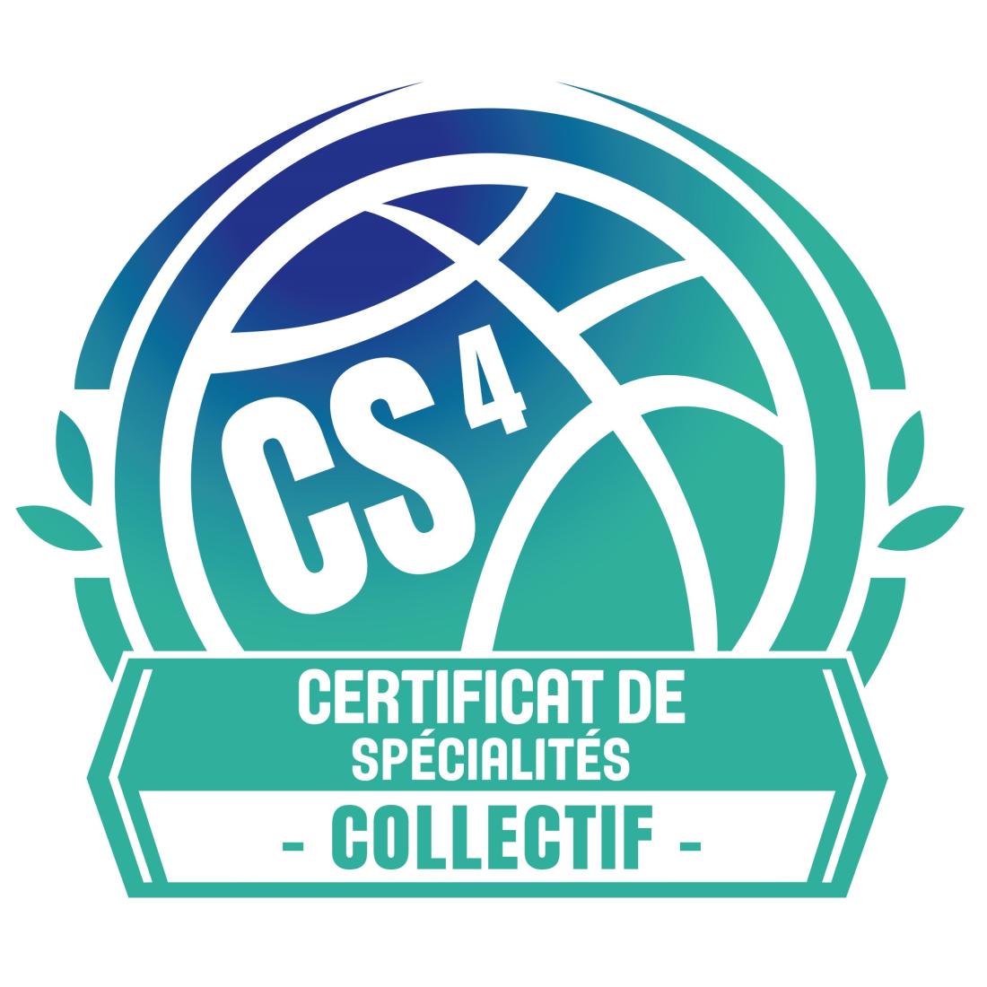 DETB - CS4 "Jeunes" - Organiser son collectif chez les jeunes